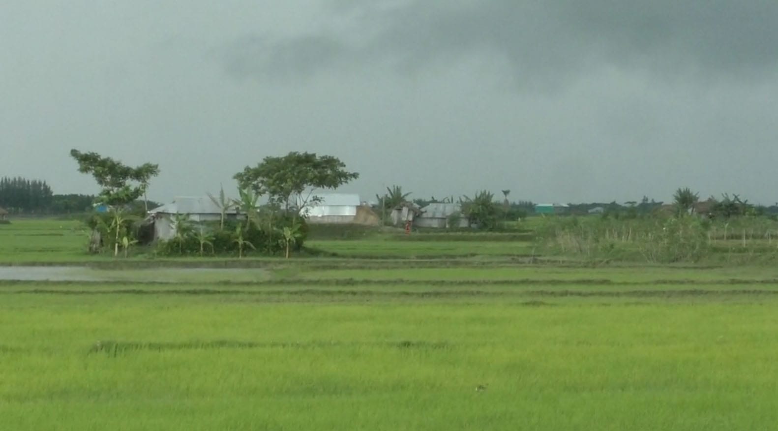 নতুন বাংলাদেশের স্বপ্ন’ দেখাচ্ছে মেঘনার বুকে জেগে ওঠা বিস্তীর্ণ চর