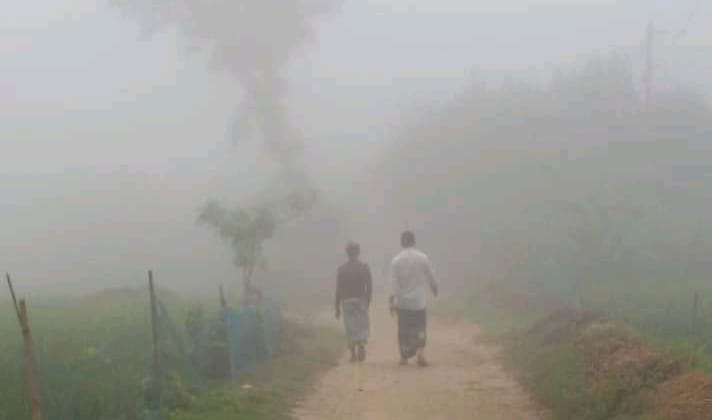 শীতের আগমনীর জানান দিচ্ছে ঠাকুরগাঁও