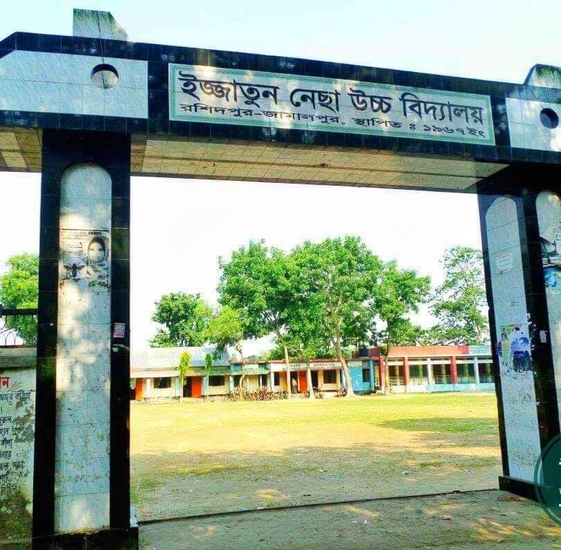 জামালপুর রশিদপুর ইজ্জাতুন্নেছা উচ্চ বিদ্যালয়ে নিয়ম-নীতি না-মেনে গাছ কর্তন