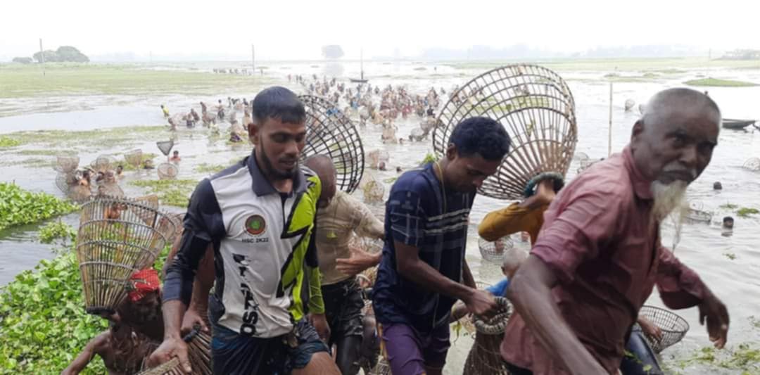 চলনবিলে দিনব্যাপী মাছ ধরলেন গাইবান্ধার শৌখিন মাছ শিকারীর দল