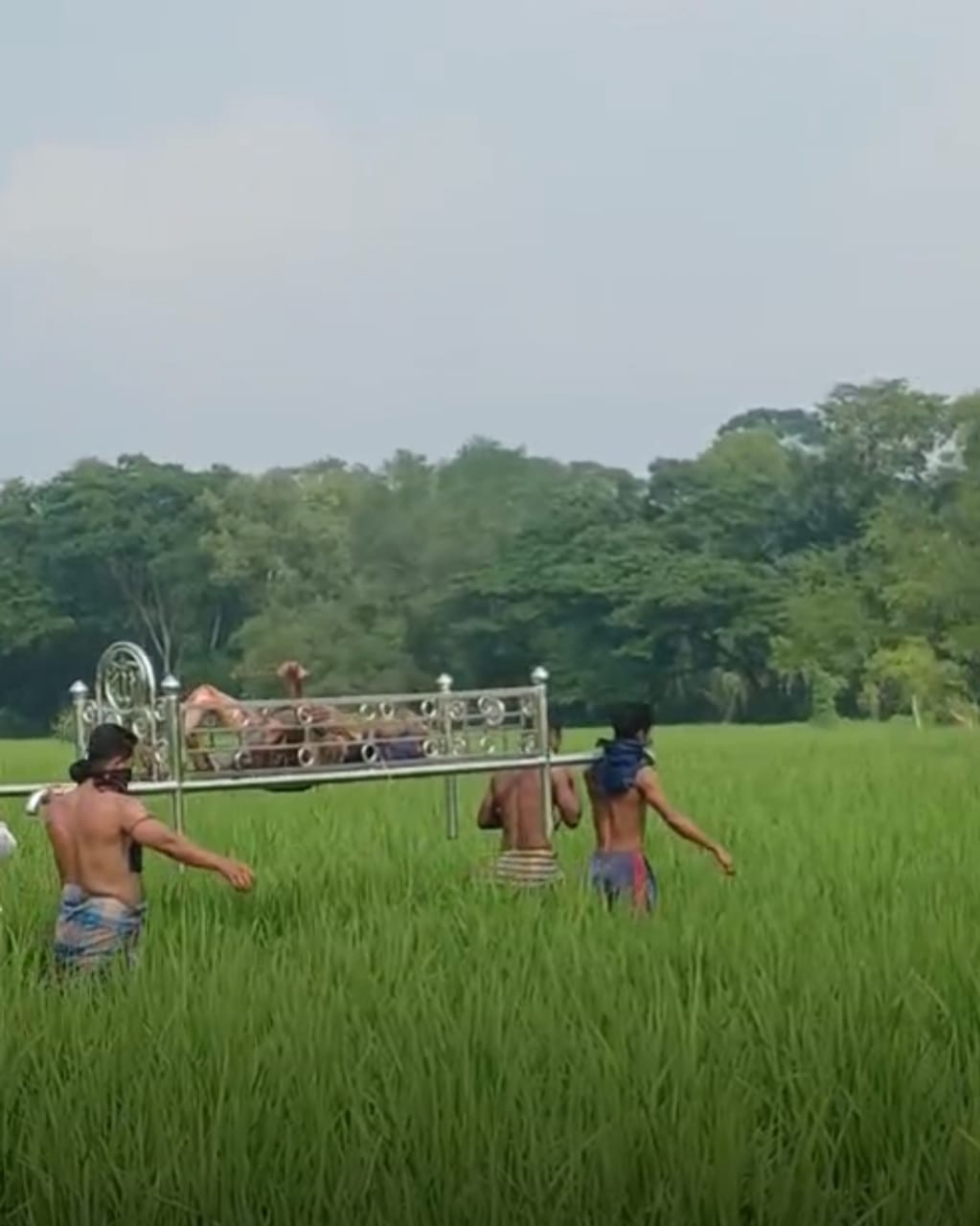 মির্জাগঞ্জে ধান ক্ষেত থেকে বৃদ্ধার অর্ধ গলিত লাশ উদ্ধার