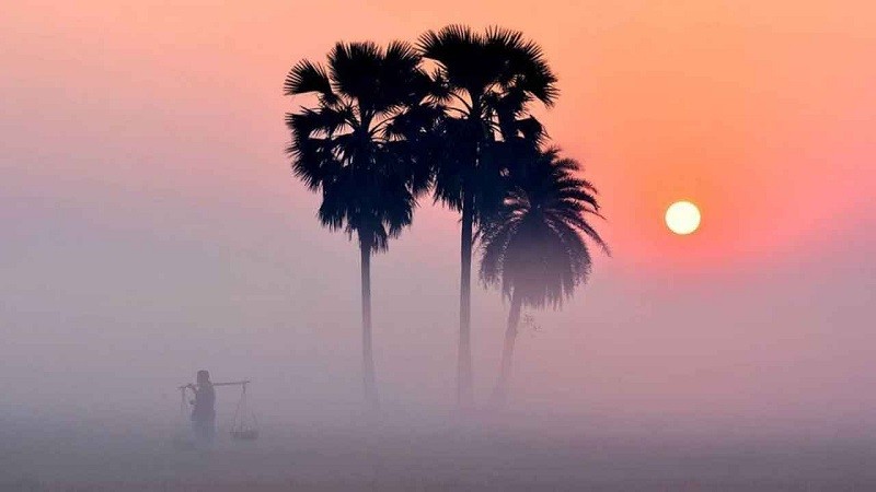 ঘন কুয়াশার পূর্বাভাস, তাপমাত্রা নিয়ে নতুন বার্তা