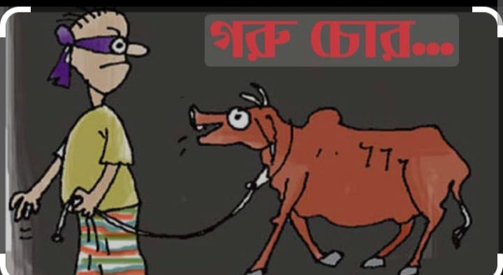 আবারো সখিপুরে একই রাতে ৬টি গরু চুরি