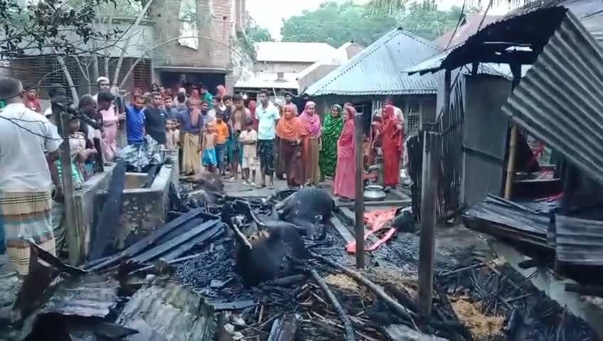 রাজশাহীর বাগমারায় গোয়াল ঘরে আগুনে চারটি গরু পুড়ে ছাই