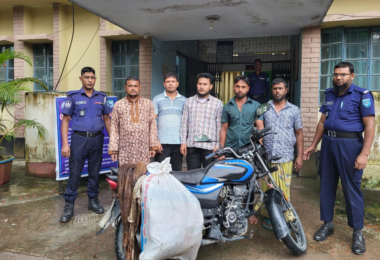 কুড়িগ্রামে অসুস্থ গরু জবাই করে বিক্রির চেষ্টা, ৫ জনের কারাদণ্ড