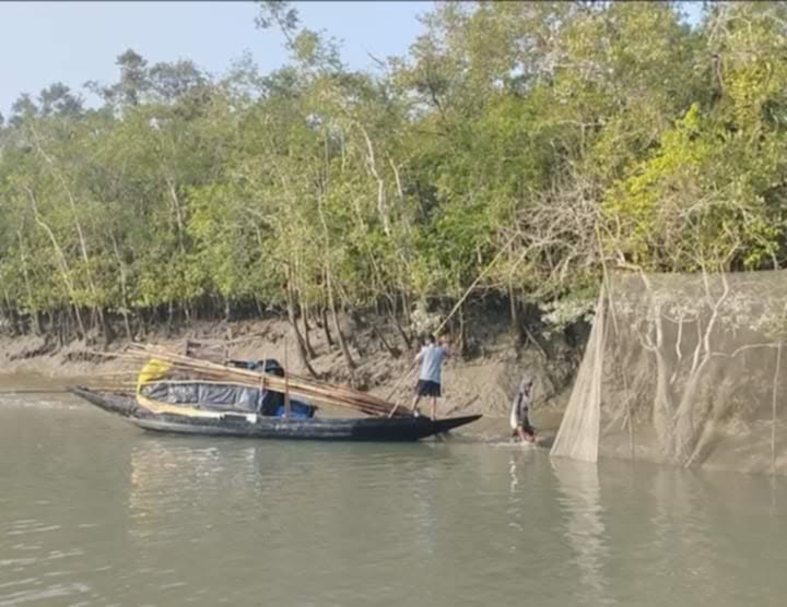 ১লা জুন থেকে সুন্দরবনে প্রবেশ ৩ মাসের নিষেধাজ্ঞা 