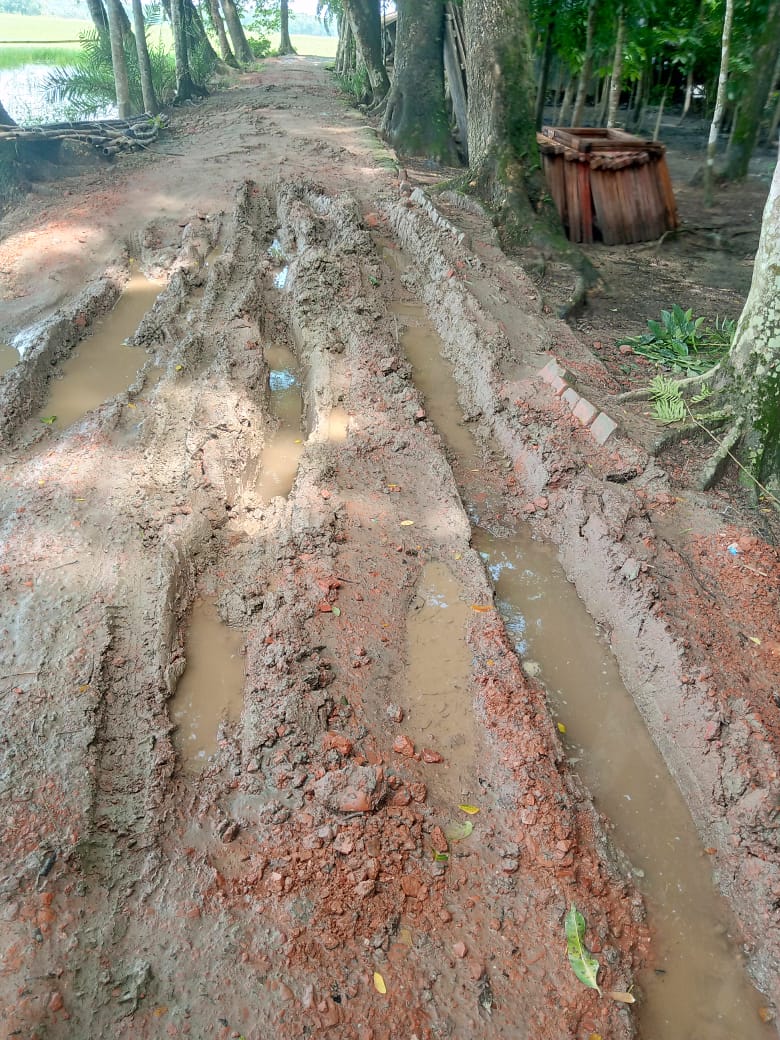 কলাগাছিয়া গ্রামে কাদা-মাটির নিচে থাকা সড়ক যেন মরণ ফাঁদ