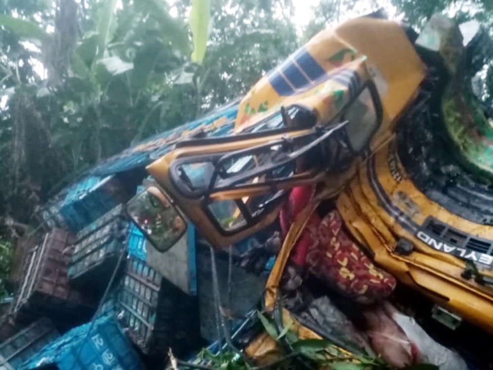 কাশিয়ানীতে সড়ক দুর্ঘটনায়  ট্রাক চালক নিহত