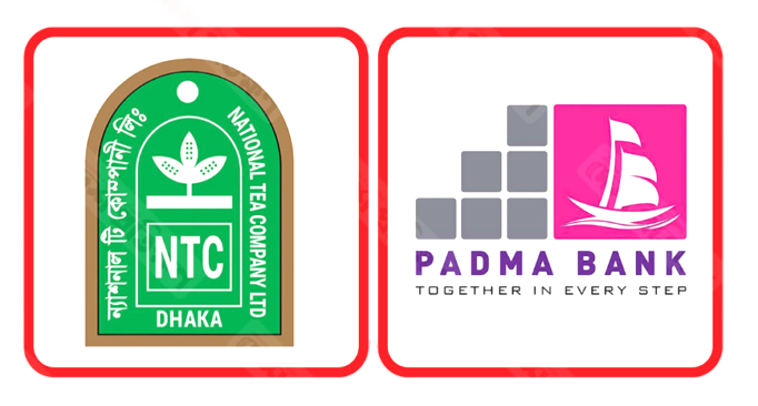 পদ্মা ব্যাংকে আটকে আছে ন্যাশনাল টি কোম্পানির ১৯ কোটি টাকা