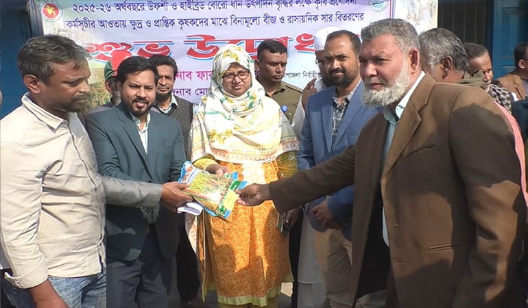 উৎপাদন বৃদ্ধির লক্ষ্যে কুষ্টিয়ায় বিনামূল্যে ধান বীজ ও সার বিতরণ